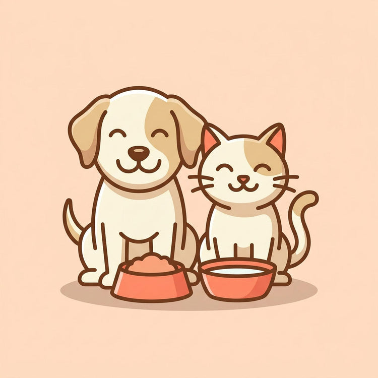 🍽️ Feeding & Watering 🐾