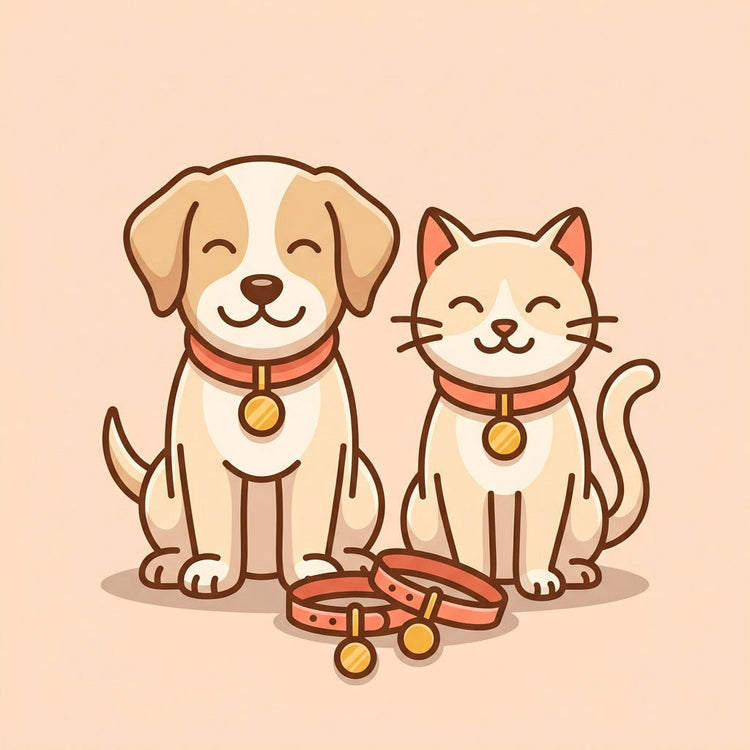 🎀 Collars & ID 🐾